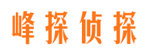 阜阳找人公司